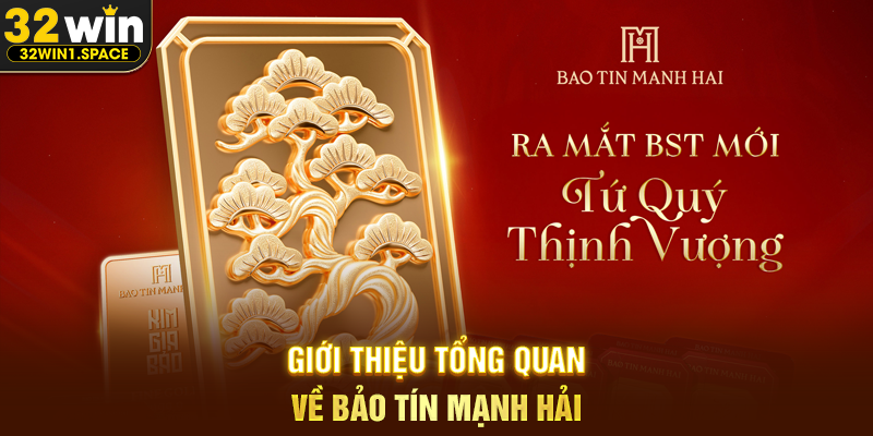 Bảo Tín Mạnh Hải – Thương Hiệu Vàng Bạc Đá Quý Uy Tín Gắn Liền Với Niềm Tin Người Việt 1 Giới Thiệu Tổng Quan Về Bảo Tín Mạnh Hải