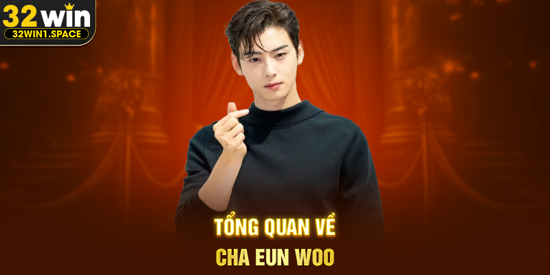 Cha Eun Woo – Hành trình từ thần tượng K-pop đến biểu tượng toàn cầu của giải trí Hàn Quốc 1 Tổng quan về Cha Eun Woo